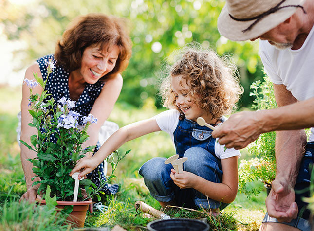 Grandparents and grandchild planting flowers in a backyard garden, happy about their rental contract decisions.