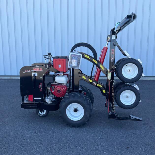 2026 Cardinal Mule 413